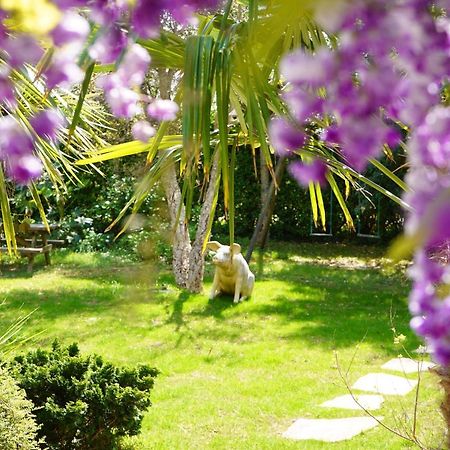 La Cabane D'Arbolateia Piscine & Spa บีดาร์ ภายนอก รูปภาพ